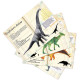 Puzzle dinosaures 500 pcs Muséum national Histoire naturelle VILAC 9625