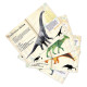 Set de 21 magnets dinosaures Muséum national Histoire naturelle Vilac 9623