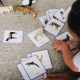 Imagier ANIMAUX mini Mondy, cartes de nomenclature OBSERVE Montessori