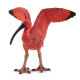 Ibis rouge, figurine PAPO 50314