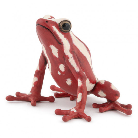 Grenouille flèche tricolore, figurine PAPO 50315